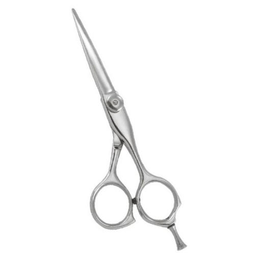 Professional Hair Cutting Scissors